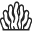 DHA藻油
